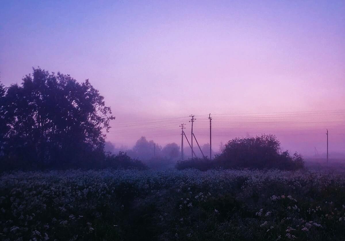 揭秘星空影视的荒诞细节