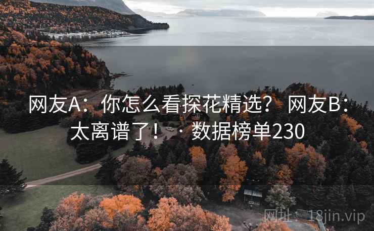 网友A:你怎么看探花精选? 网友B:太离谱了! · 数据榜单230 网友A:你怎么看探花精选? 网友B:太离谱了! · 数据榜单230