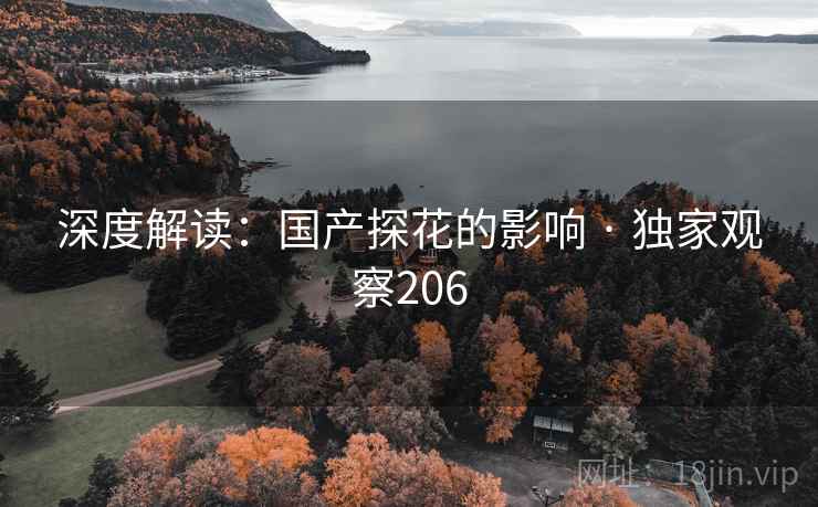 深度解读:国产探花的影响 · 独家观察206 深度解读:国产探花的影响 · 独家观察206