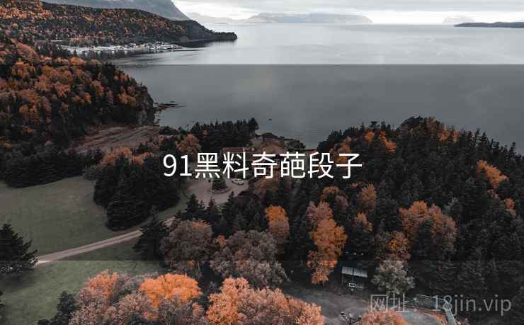 91黑料奇葩段子 91黑料奇葩段子