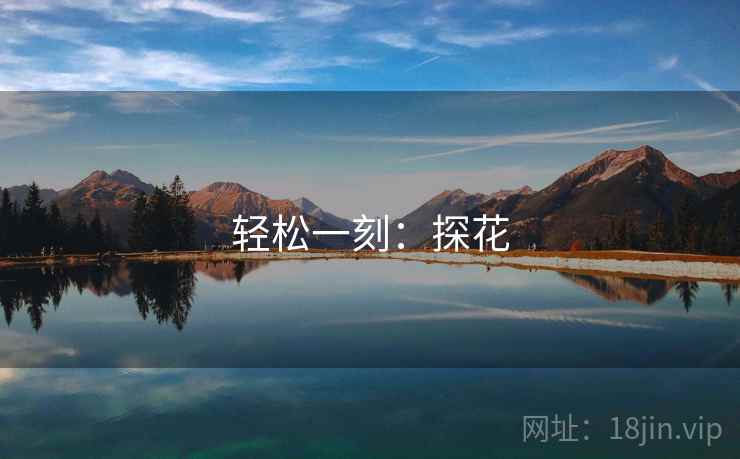 轻松一刻:探花 轻松一刻:探花