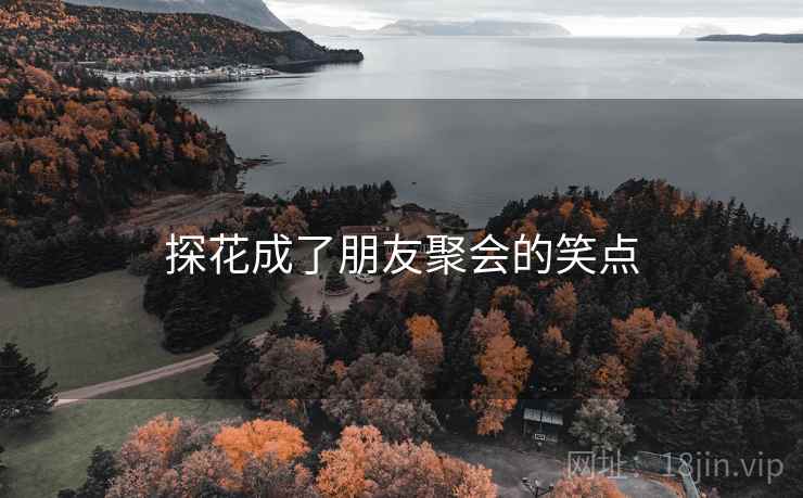 探花成了朋友聚会的笑点 探花成了朋友聚会的笑点
