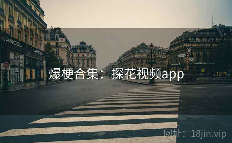 爆梗合集：探花视频app
