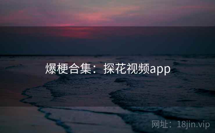 爆梗合集：探花视频app