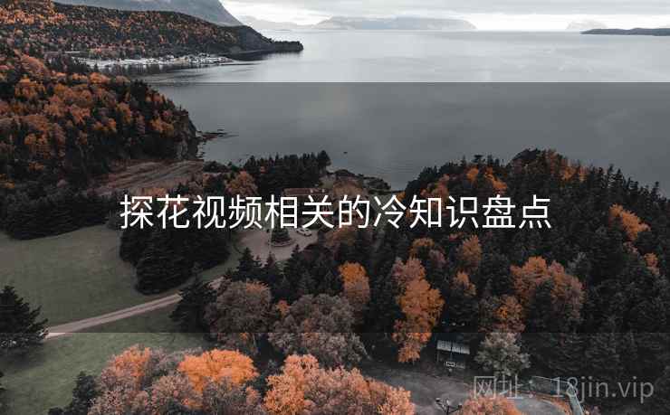 探花视频相关的冷知识盘点