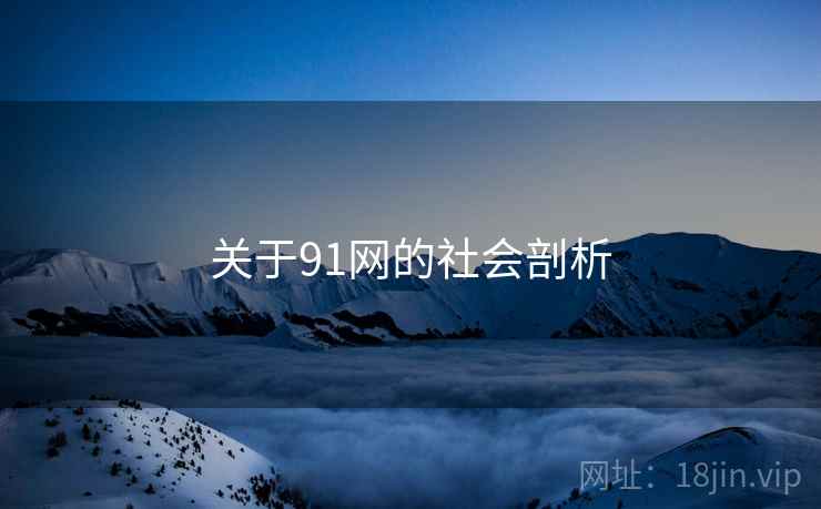 关于91网的社会剖析 关于91网的社会剖析