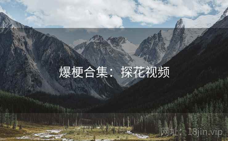 爆梗合集:探花视频