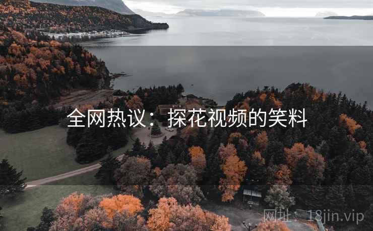 全网热议:探花视频的笑料 全网热议:探花视频的笑料