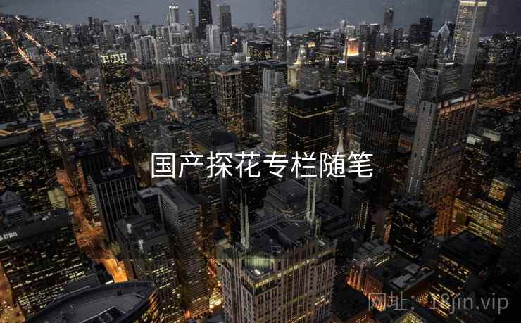 国产探花专栏随笔 国产探花专栏随笔