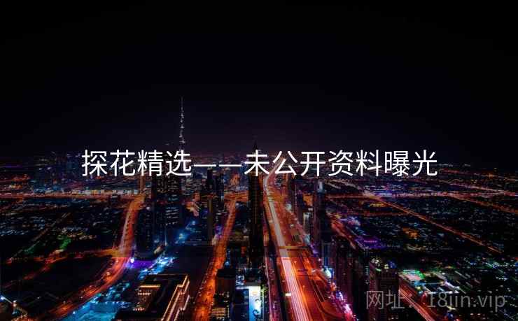 探花精选——未公开资料曝光