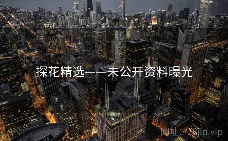 探花精选——未公开资料曝光 探花精选——未公开资料曝光