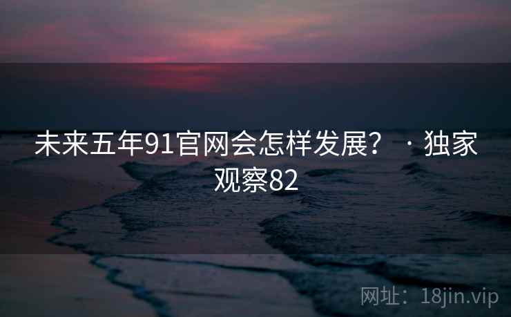 未来五年91官网会怎样发展? · 独家观察82