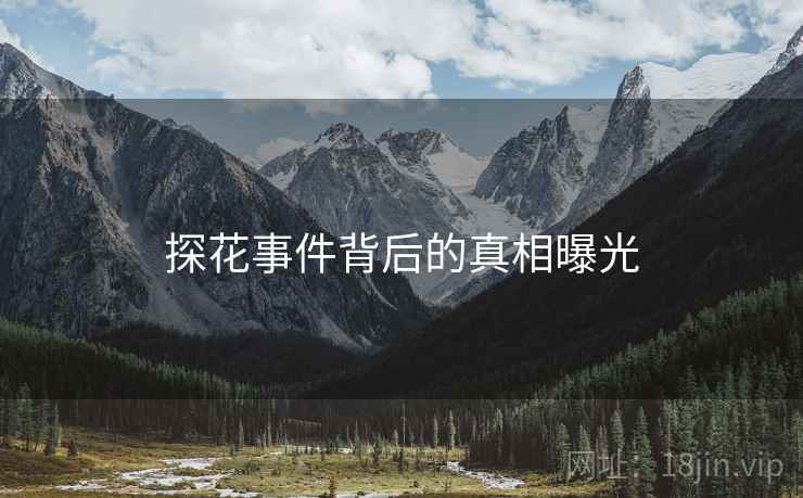 探花事件背后的真相曝光