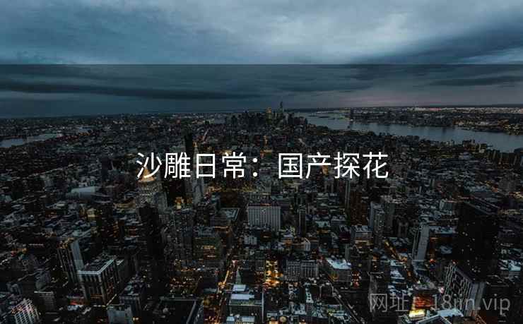 沙雕日常:国产探花 沙雕日常:国产探花