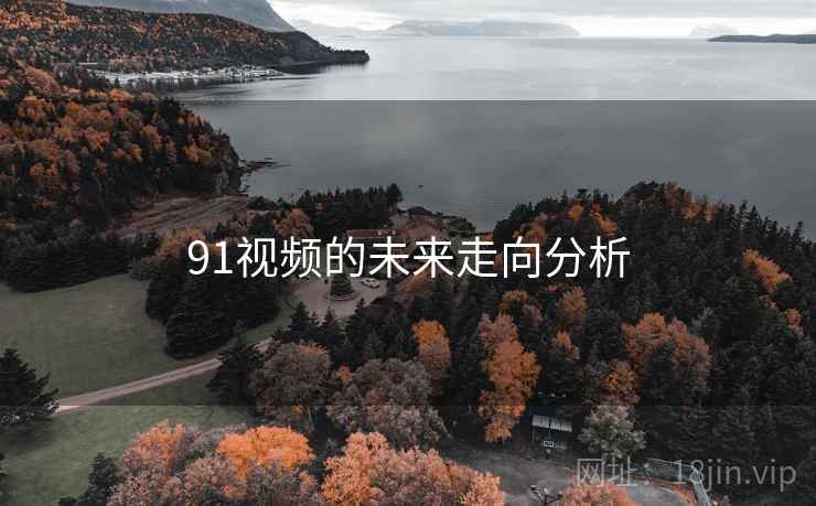 91视频的未来走向分析 91视频的未来走向分析