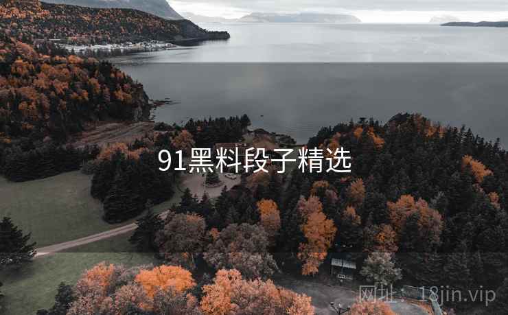 91黑料段子精选